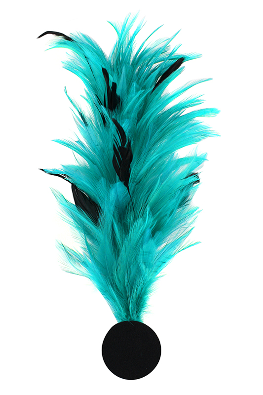 Verenpluim met speld