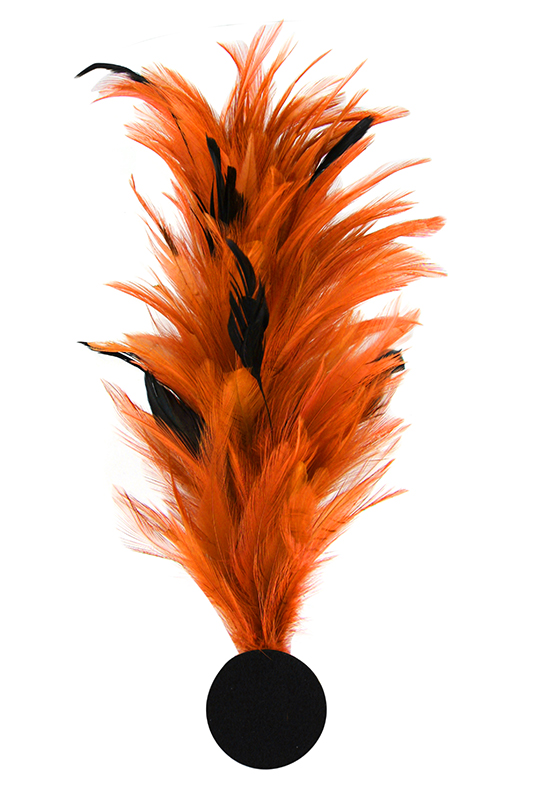 Verenpluim met speld