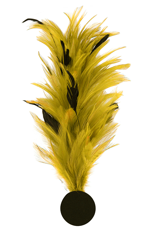 Verenpluim met speld