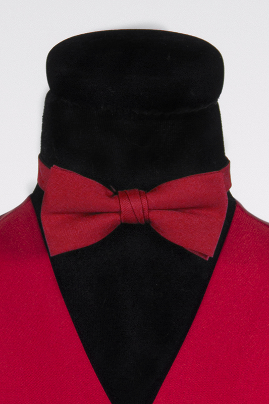 Gekleurd vlinderstrikje