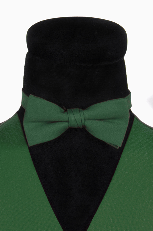 Gekleurd vlinderstrikje