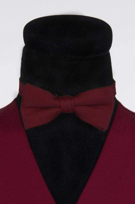 Gekleurd vlinderstrikje