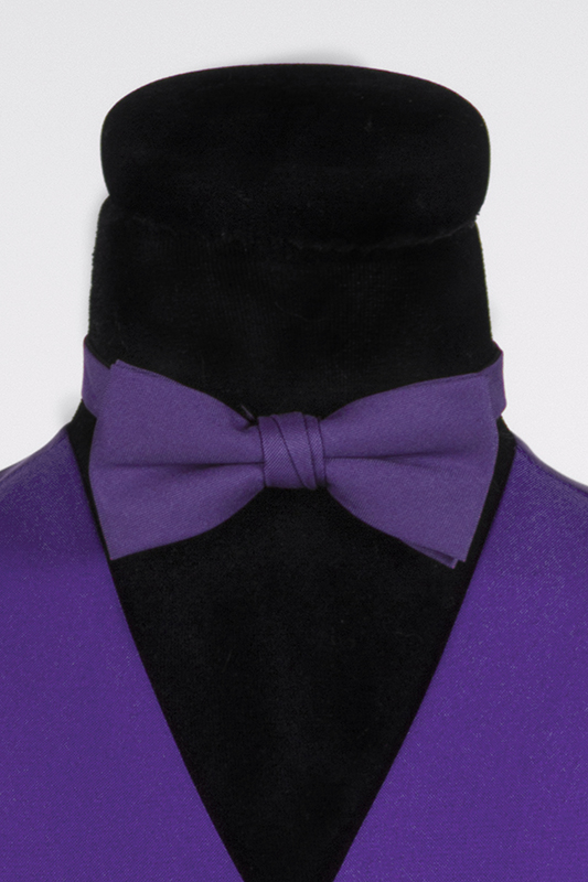 Gekleurd vlinderstrikje