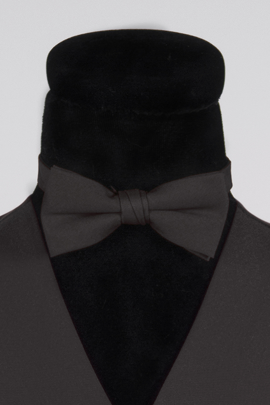 Gekleurd vlinderstrikje