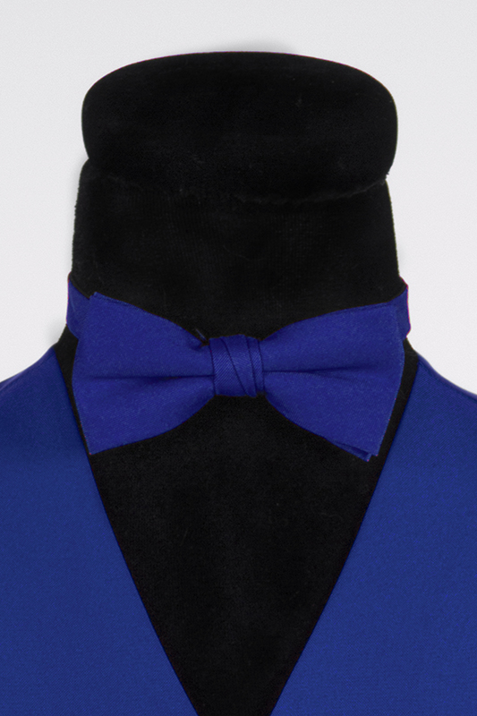 Gekleurd vlinderstrikje