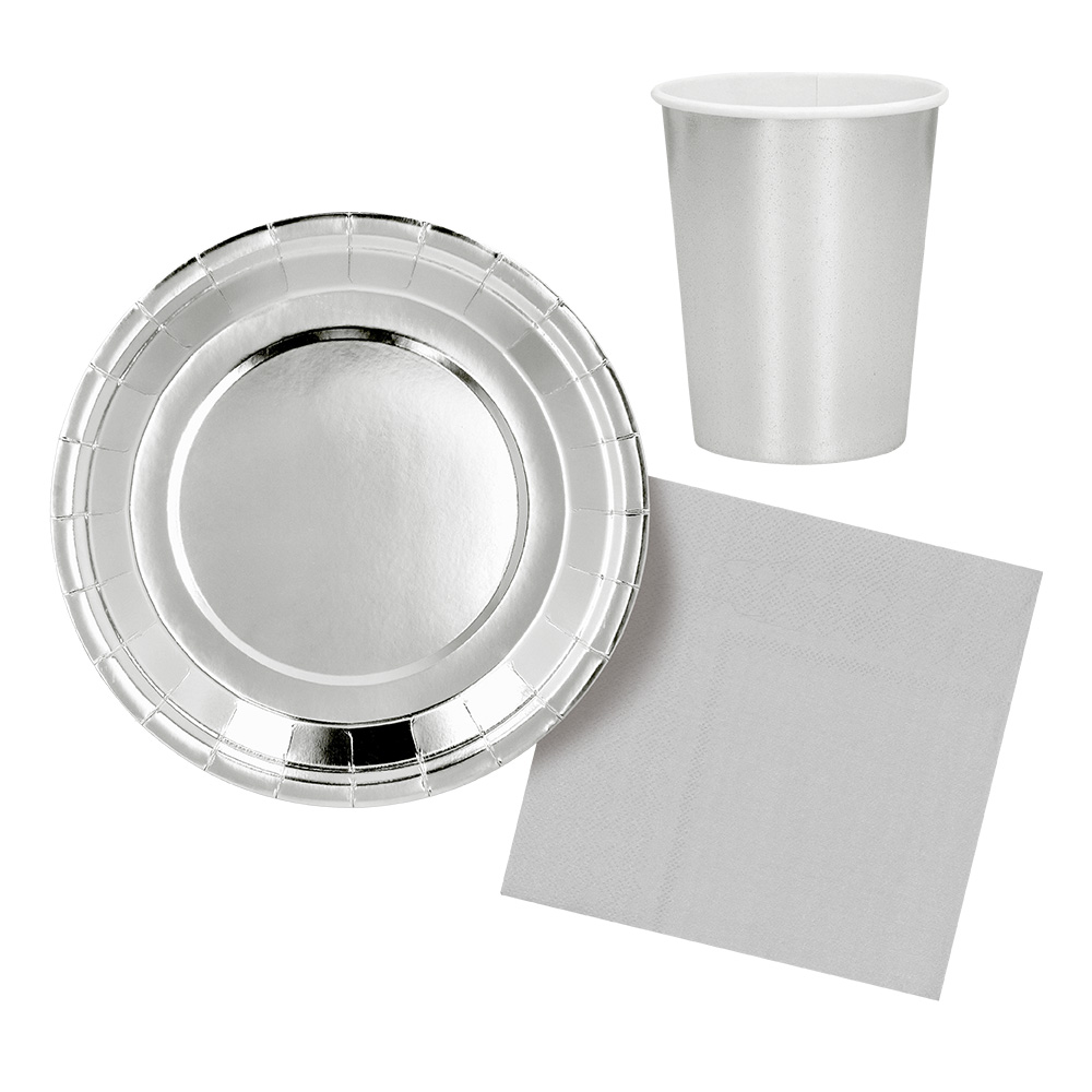 Set 6 papieren bordjes zilver (23 cm)