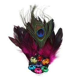 Pauwveren met stenen