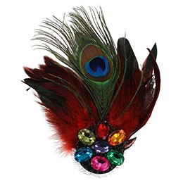 Pauwveren met stenen