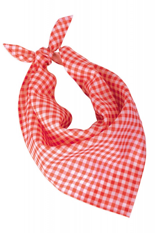 Zakdoek rood/wit geblokt 62 x 44 x