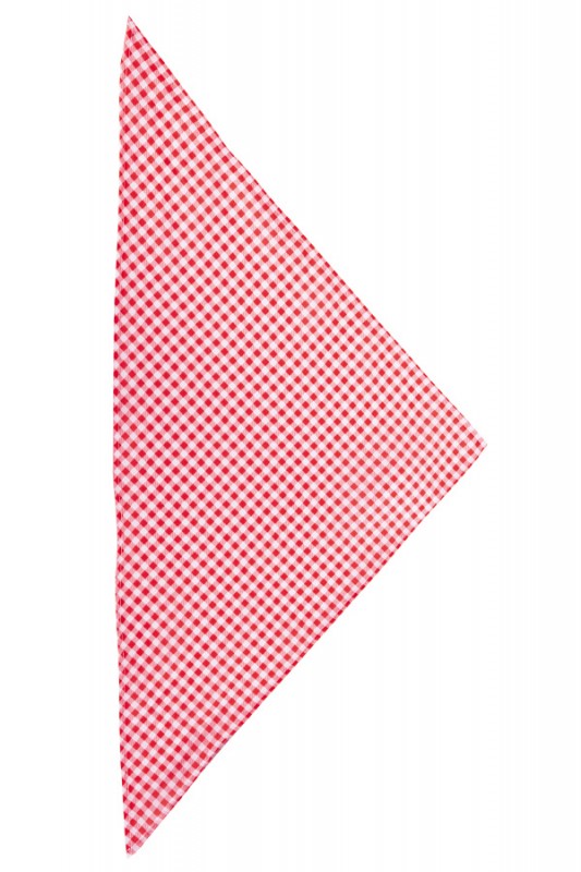 Zakdoek rood/wit geblokt 62 x 44 x