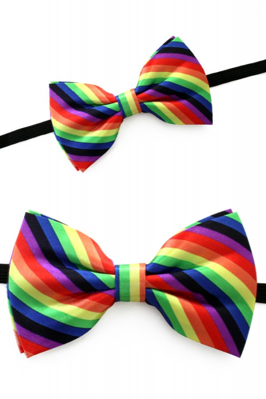 Vlinderstrik regenboog