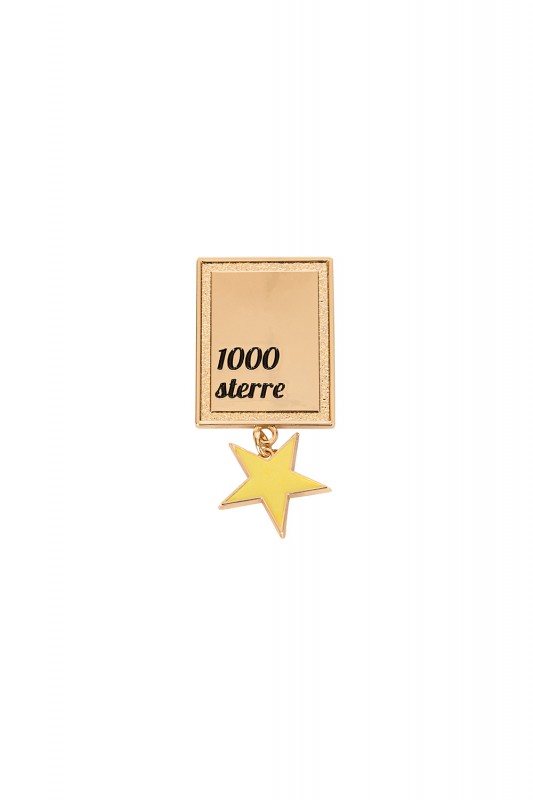 Badge/ broche rechthoek 1000 sterre