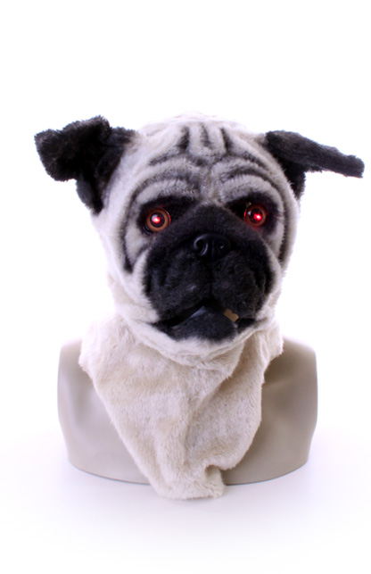 Volkop masker hond lichtgevende oge