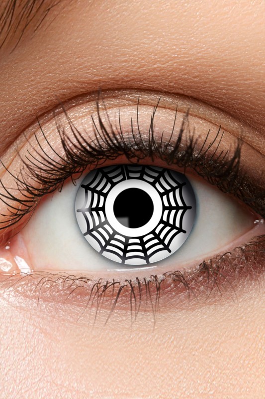 3-maandslenzen spider