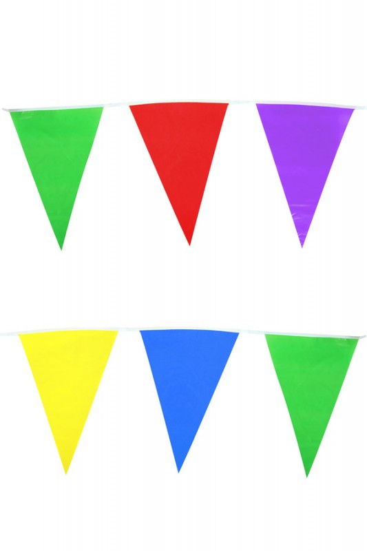 Vlaggenlijn assortie kleuren 10 met