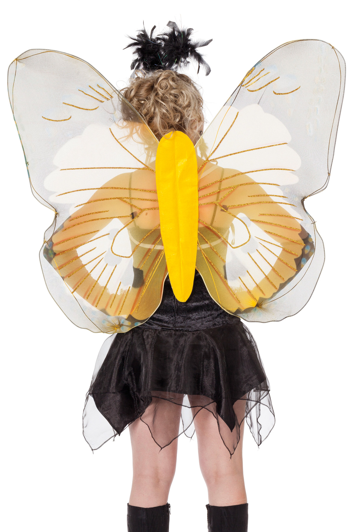 Vlindervleugels volwassenen