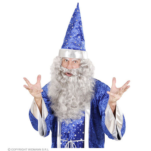 maxi baard grijs