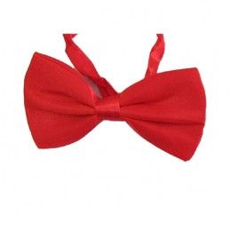 Vlinderstrikje satijn rood