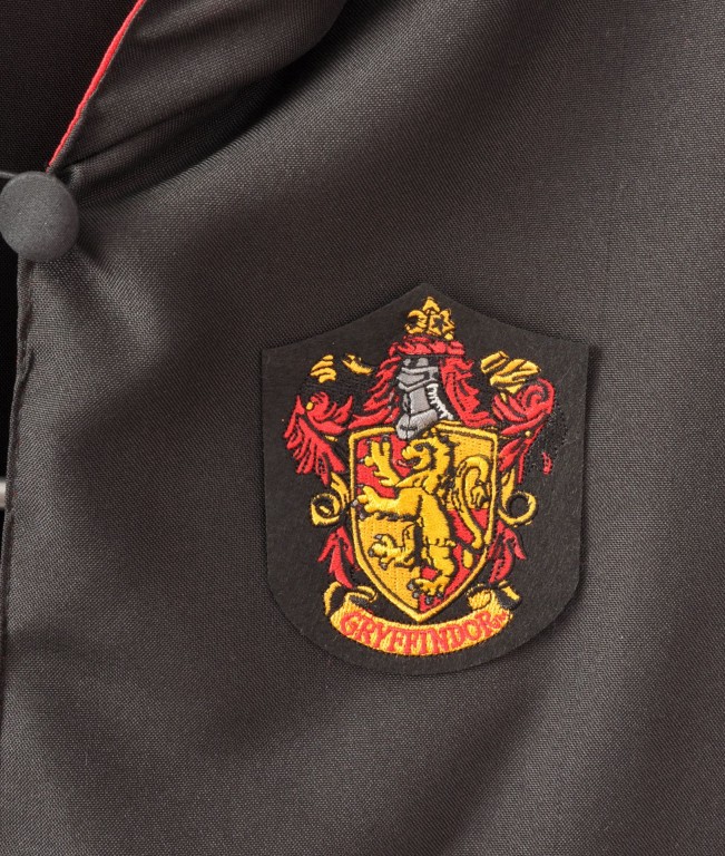 Harry Potter kostuum