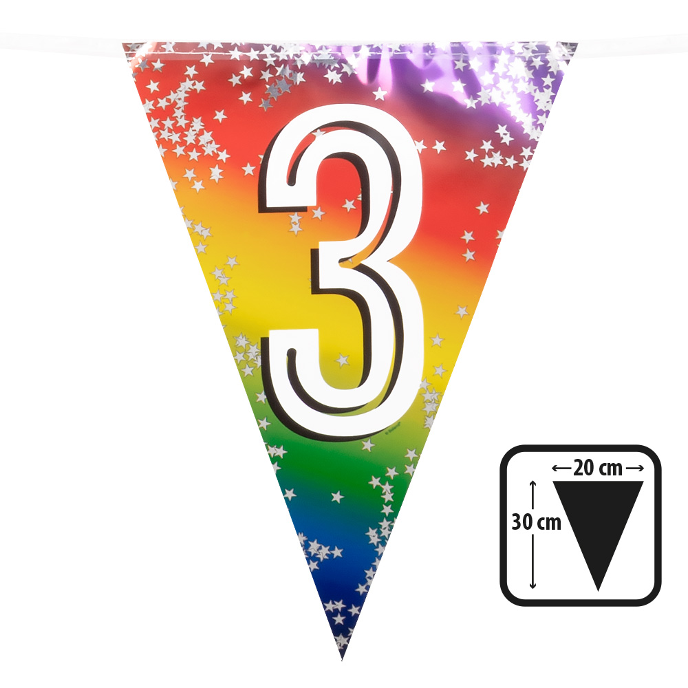 Folievlaggenlijn Rainbow '3' (30 x 20 cm, 6 m)
