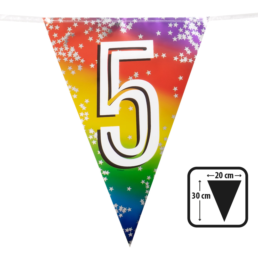 Folievlaggenlijn Rainbow '5' (30 x 20 cm, 6 m)