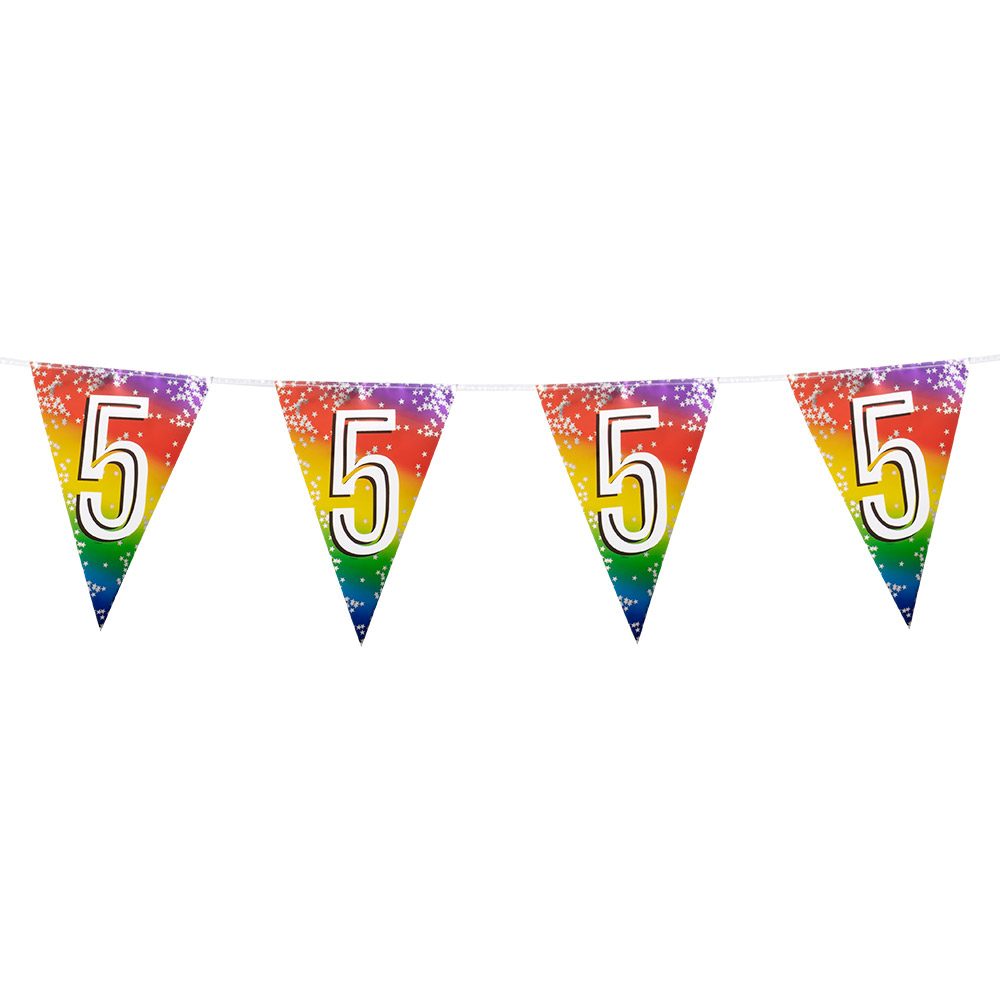 Folievlaggenlijn Rainbow '5' (30 x 20 cm, 6 m)