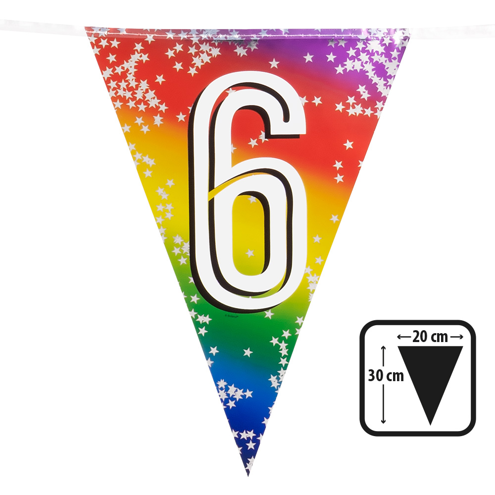 Folievlaggenlijn Rainbow '6' (30 x 20 cm, 6 m)
