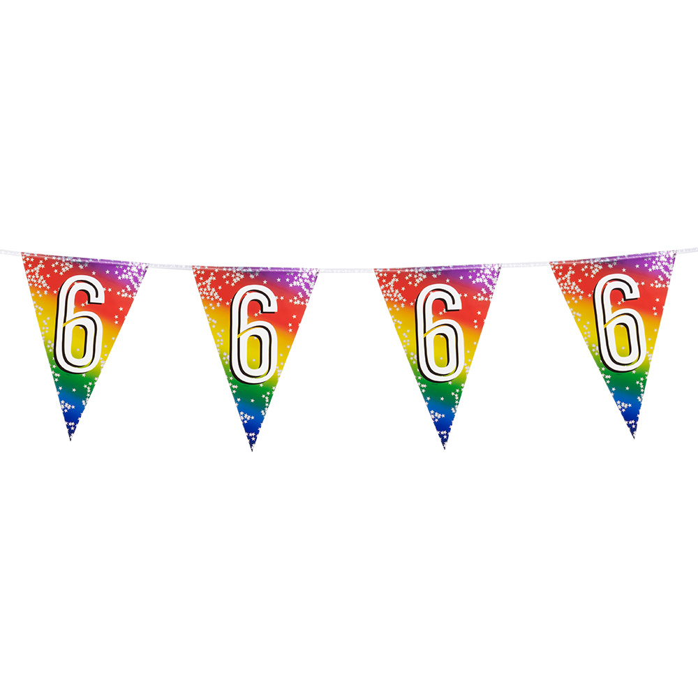 Folievlaggenlijn Rainbow '6' (30 x 20 cm, 6 m)