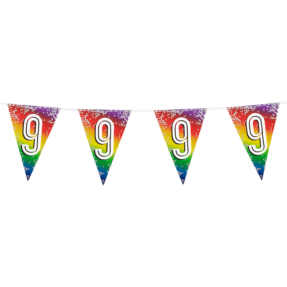 Folievlaggenlijn Rainbow '9' (30 x 20 cm, 6 m)