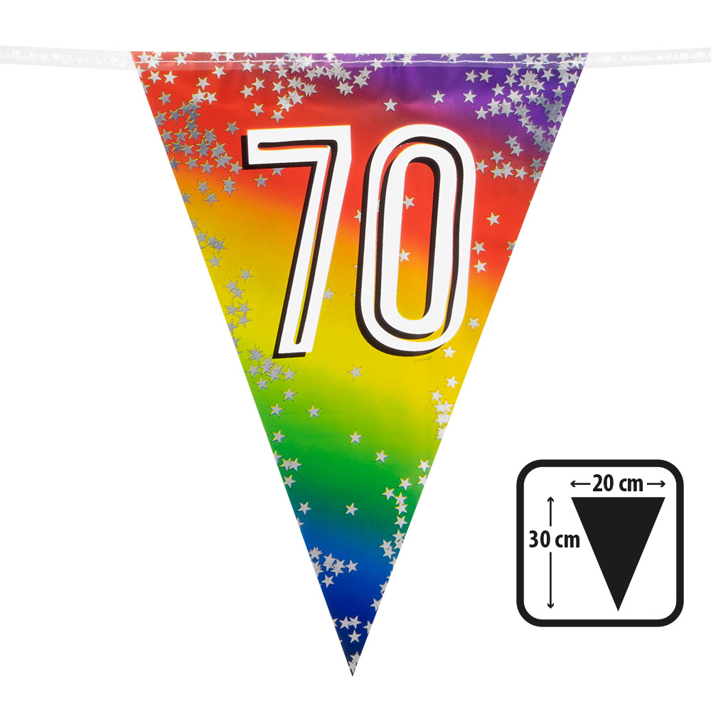 Folievlaggenlijn Rainbow '70' (30 x 20 cm, 6 m)