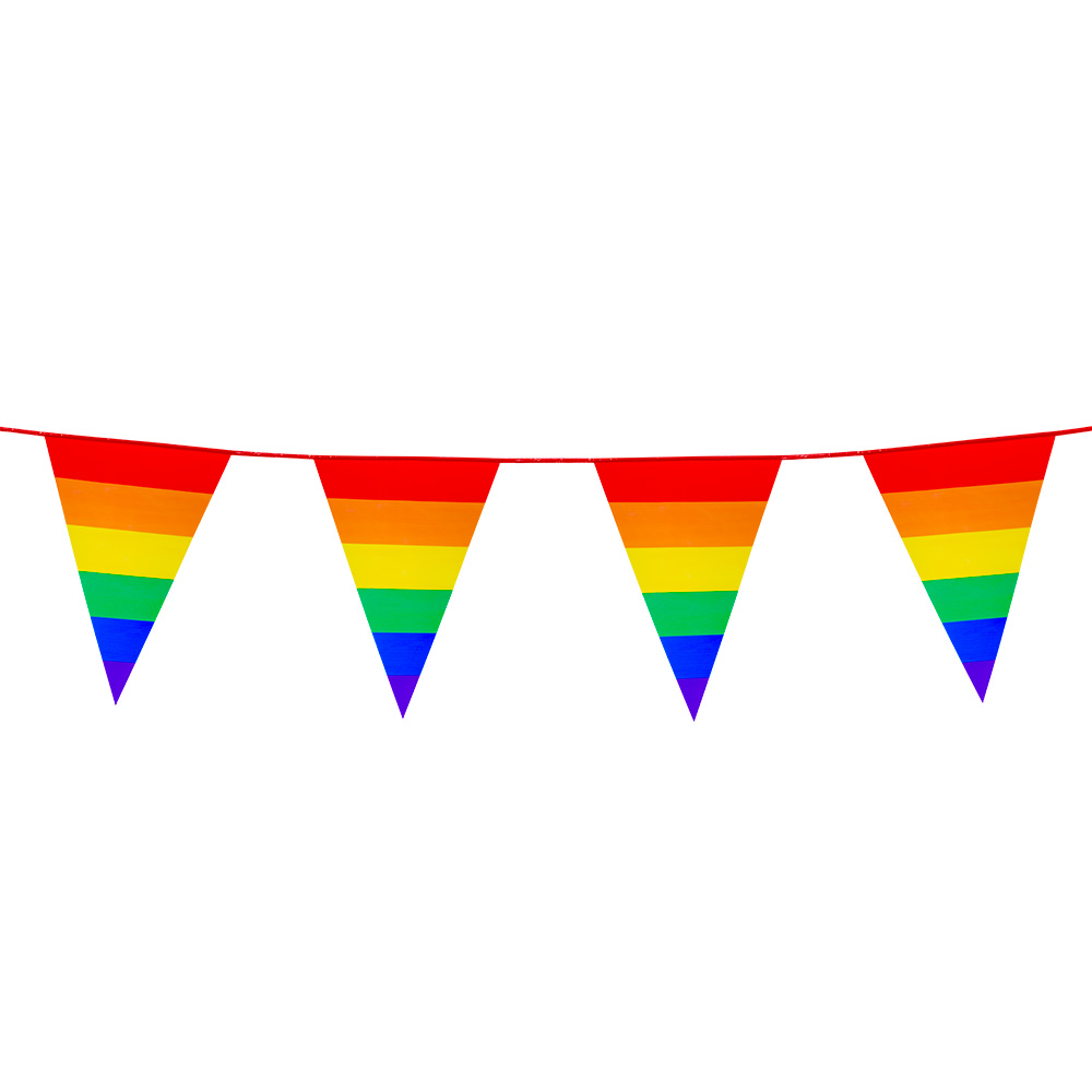 PE vlaggenlijn Regenboog (30 x 20 cm)(10 m)