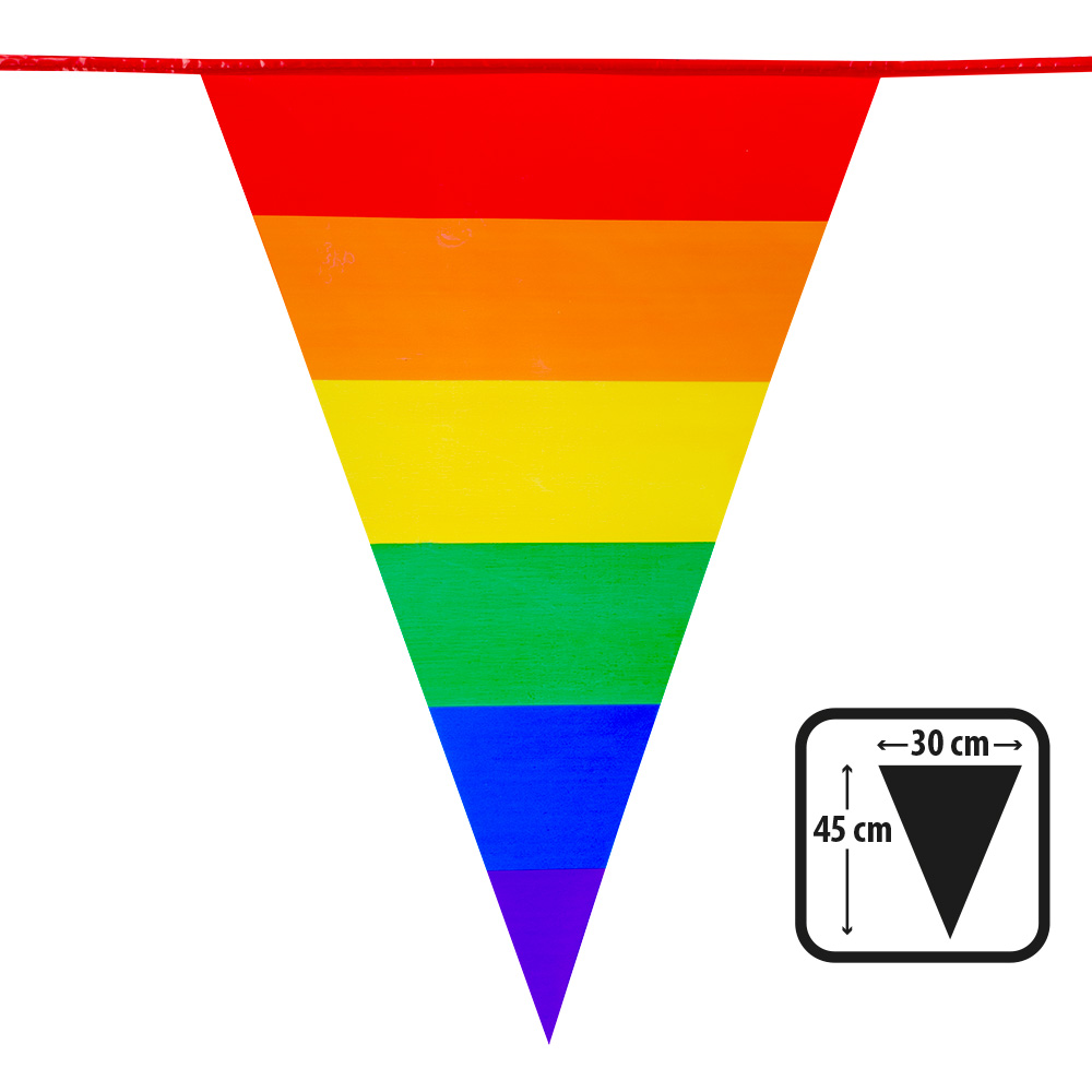 PE vlaggenlijn Regenboog (45 x 30 cm)(8 m)