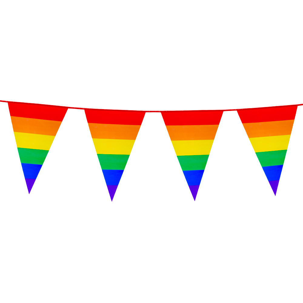PE vlaggenlijn Regenboog (45 x 30 cm)(8 m)
