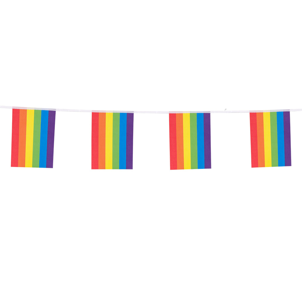 Papieren vlaggenlijn Regenboog (14 x 20 cm)(3 m)