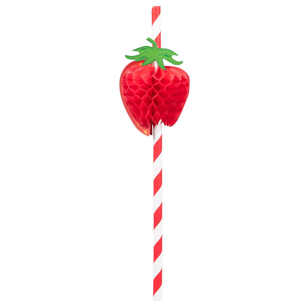 Set 6 papieren rietjes Fruit 2 designs (20 cm)