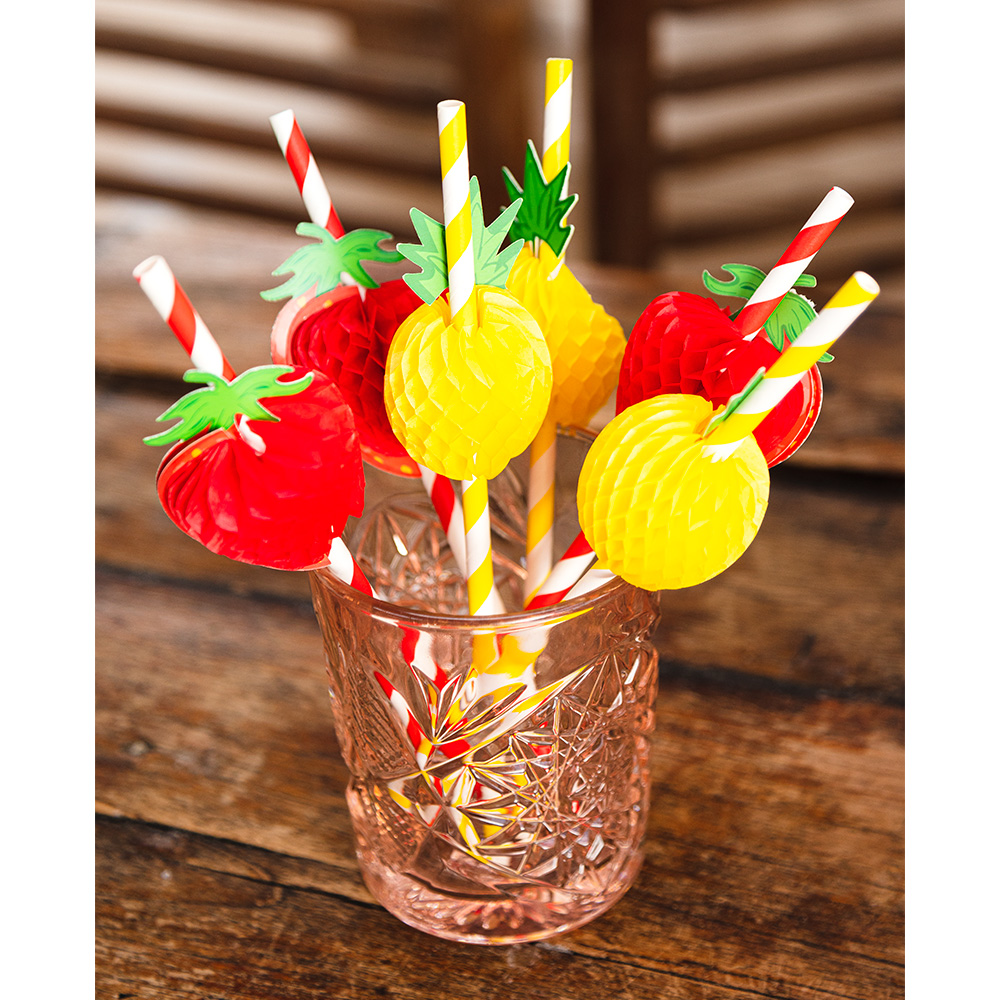 Set 6 papieren rietjes Fruit 2 designs (20 cm)