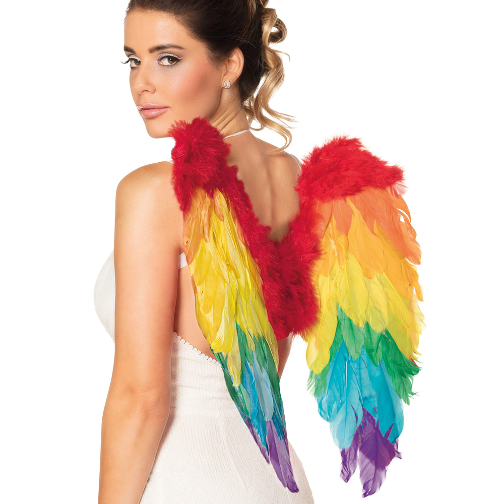 Engelenvleugels Divine regenboog (50 x 50 cm)