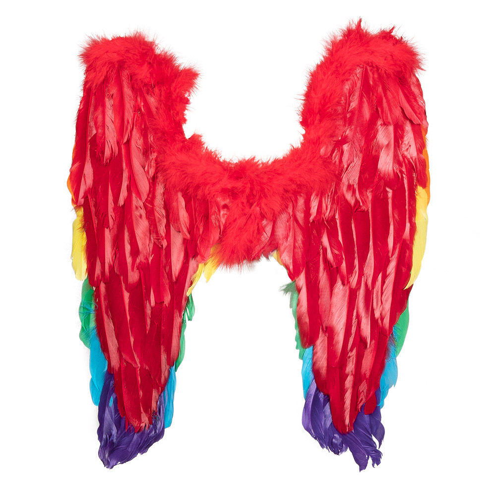 Engelenvleugels Divine regenboog (50 x 50 cm)