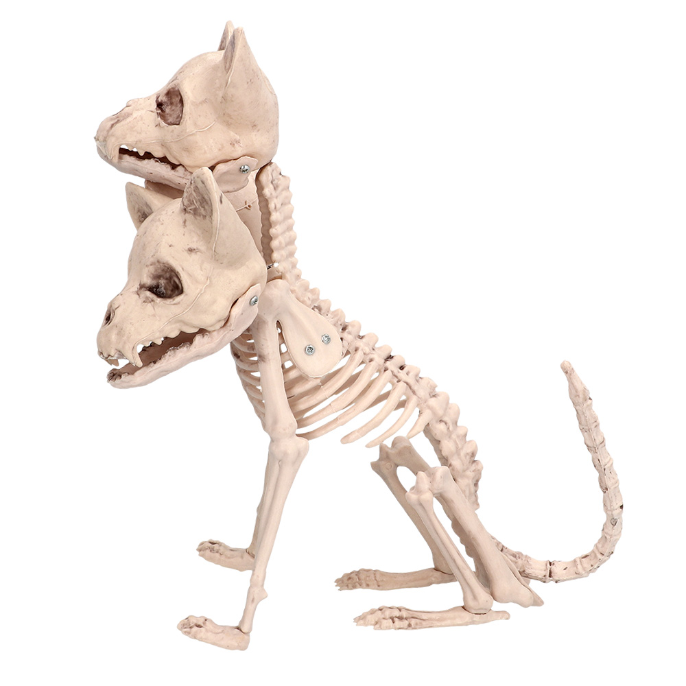 Skelet Cerberus (42 x 20 x 31 cm)