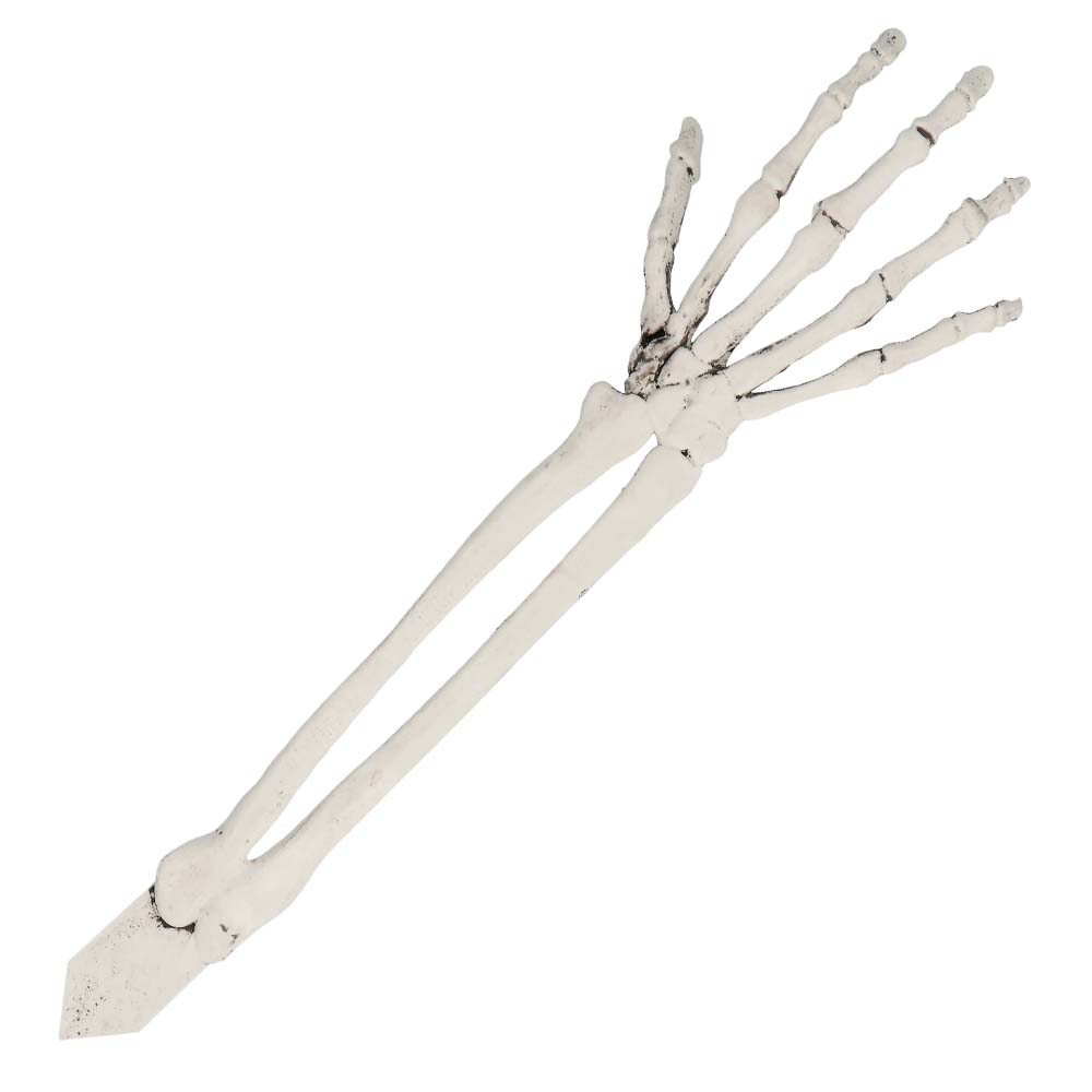 Set Begraven skelet (schedel en armen)
