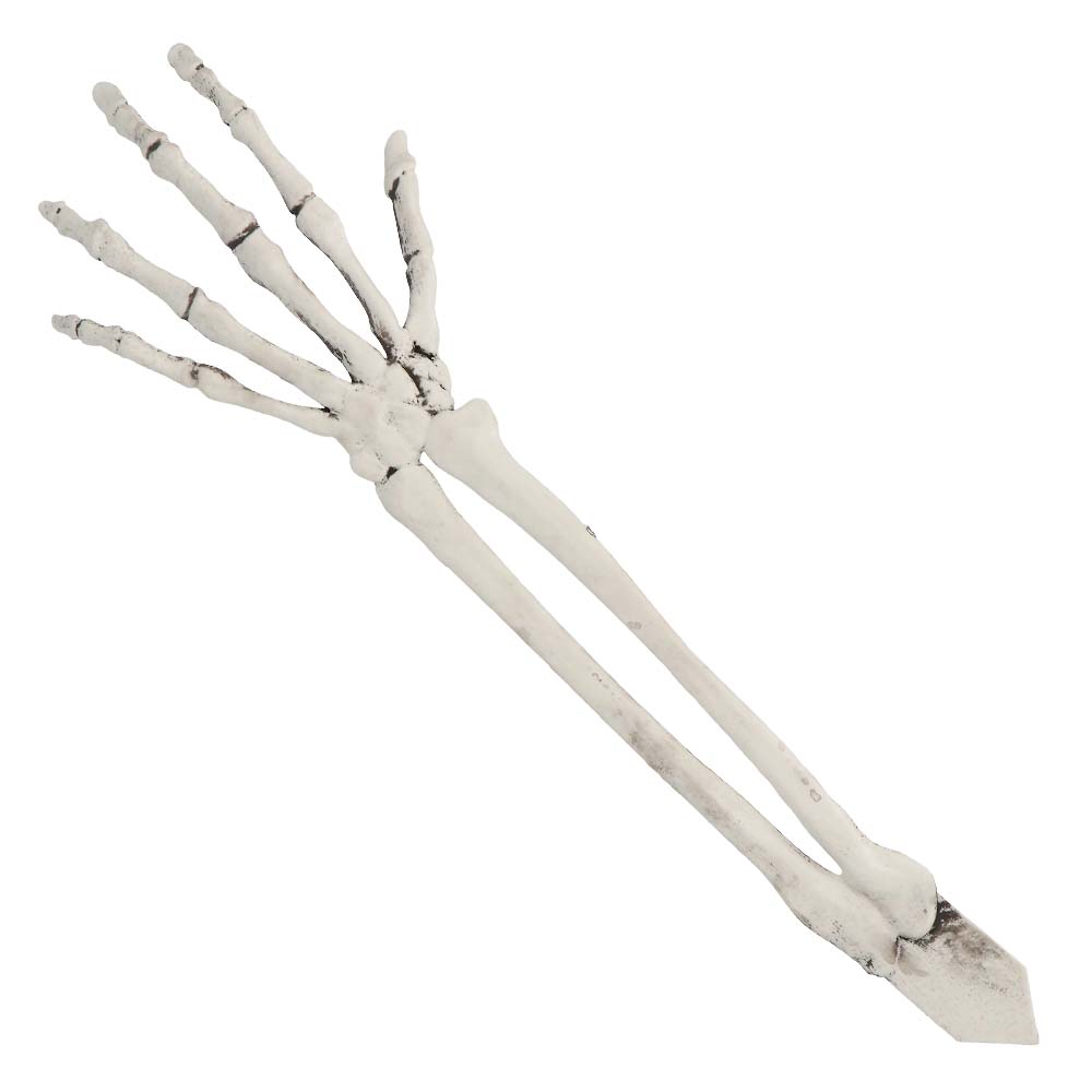 Set Begraven skelet (schedel en armen)
