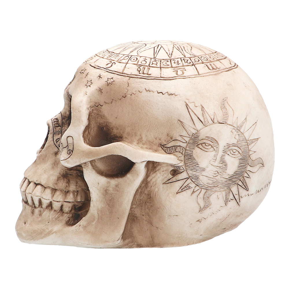 Schedel Astronomy (14 x 20 x 14 cm)