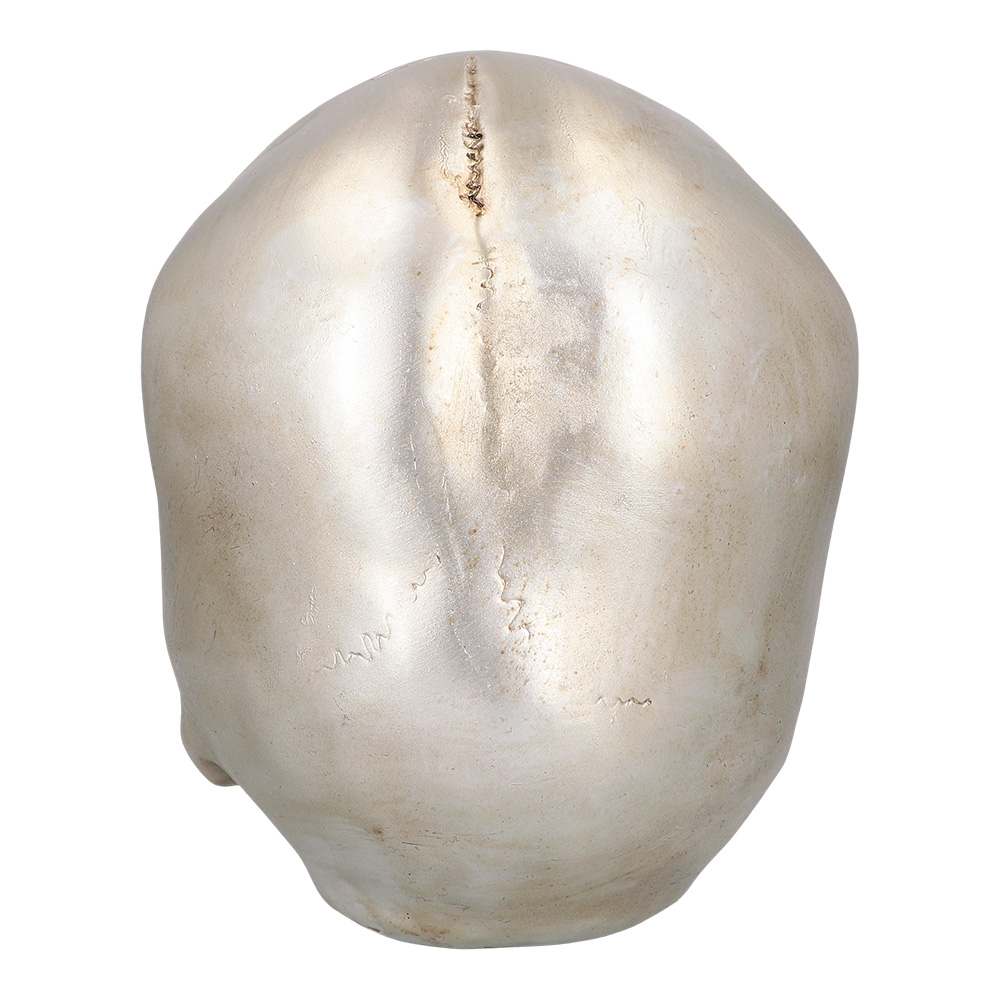 Schedel Shine (26 x 18 x 23 cm)