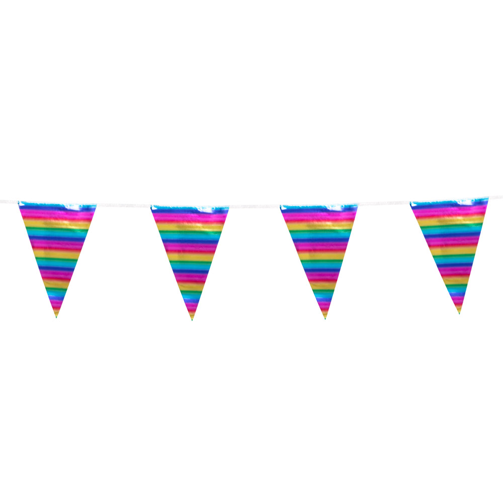 Foliereuzenvlaggenlijn regenboog (45 x 30 cm) (10 m)