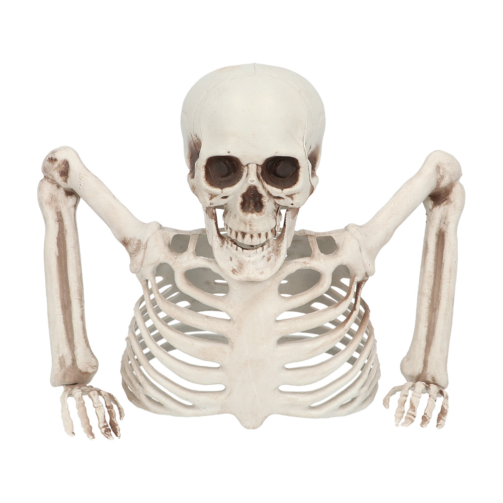 Skelet Groundbreaker (20 cm)
