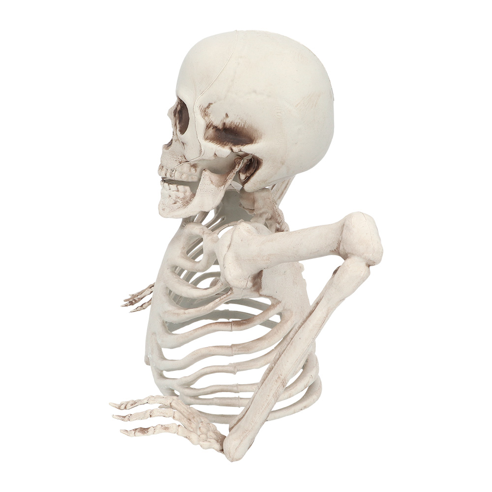 Skelet Groundbreaker (20 cm)
