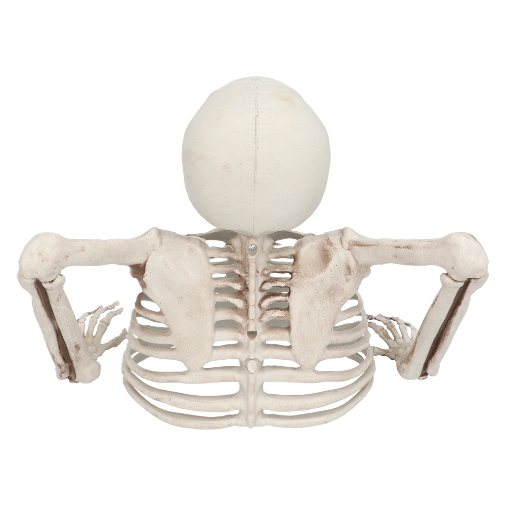 Skelet Groundbreaker (20 cm)