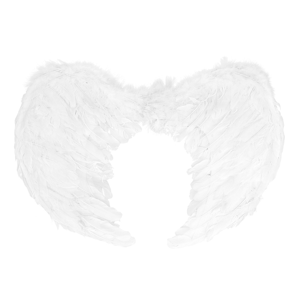 Engelenvleugels Elysia wit (60 x 40 cm)