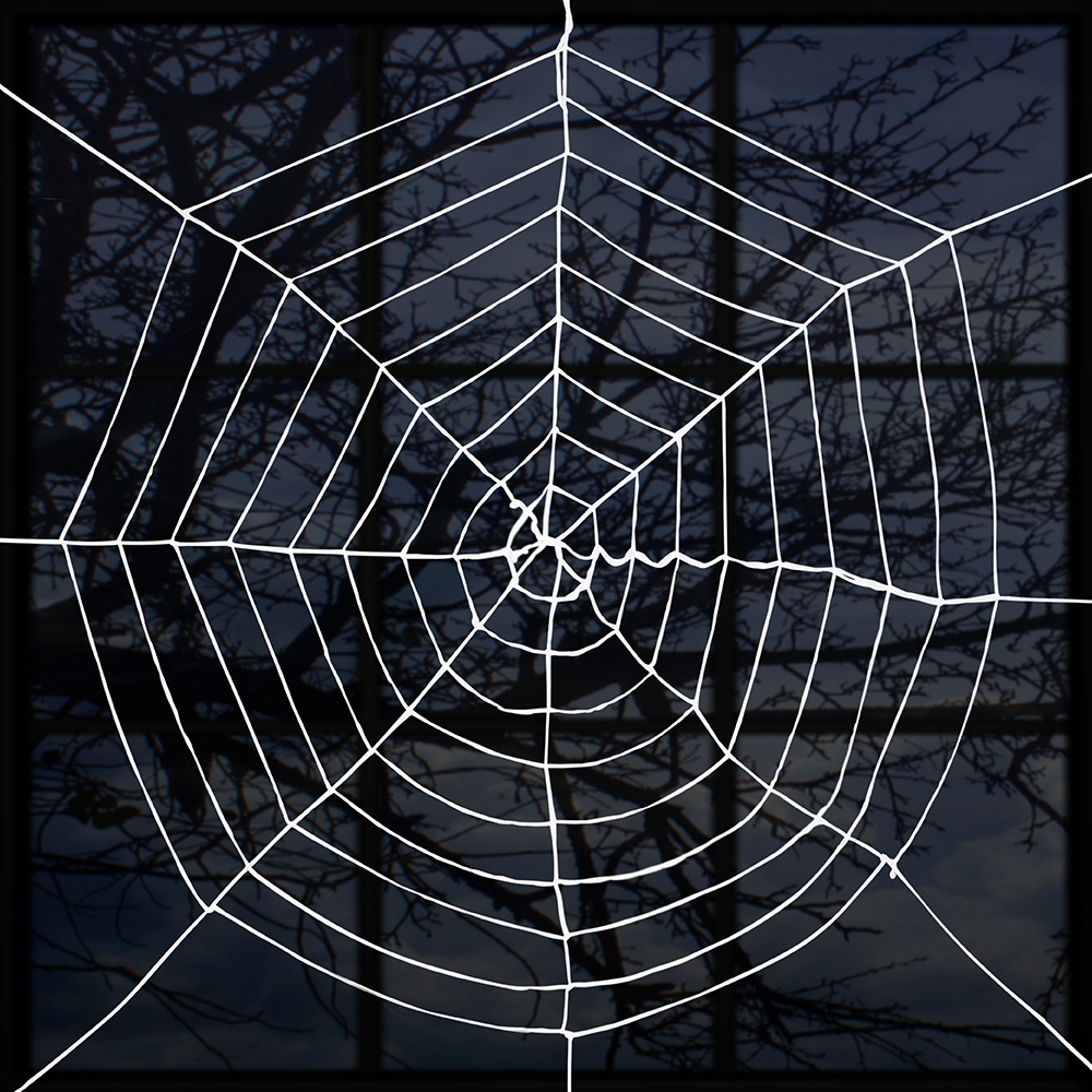 Spinnenweb wit (Ø 275 cm)