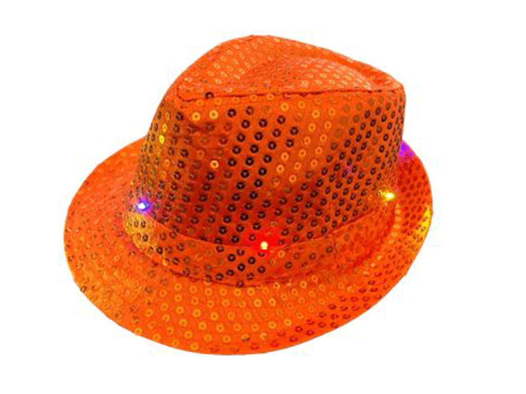 Hoed pailletten met licht (in verschillende kleuren)